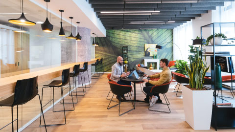 Office Area